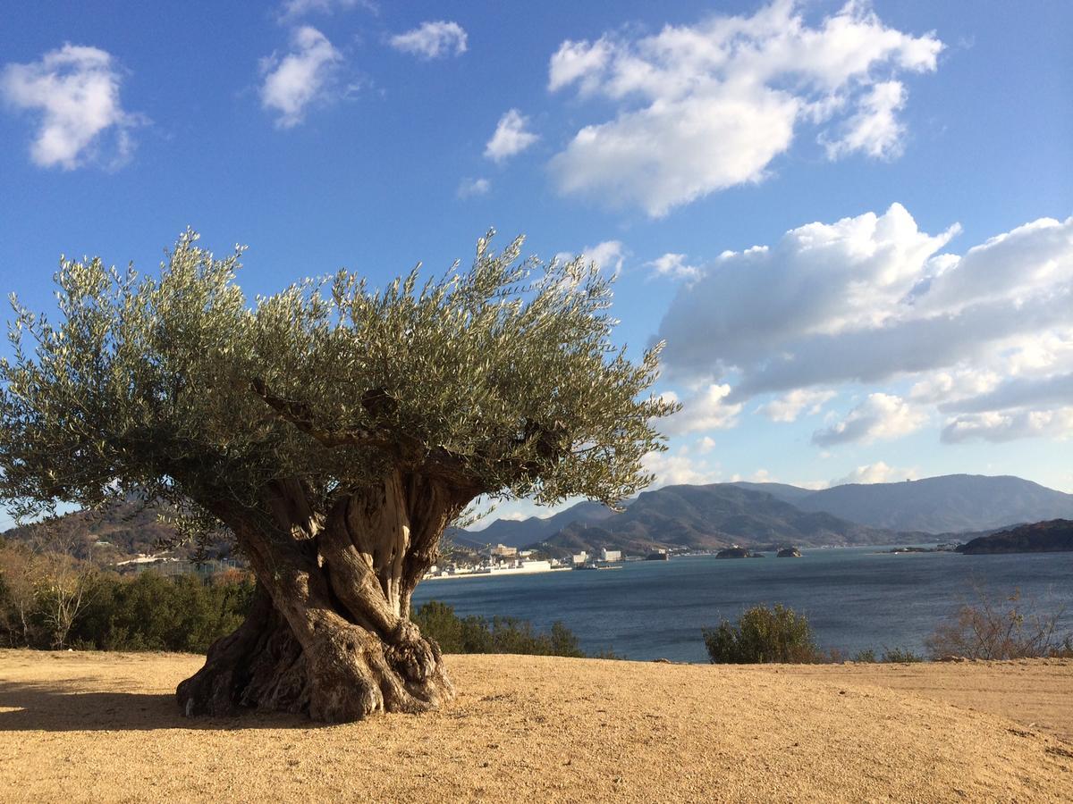 Shodoshima Seaside Hotel Matsukaze Tonosho  Bagian luar foto